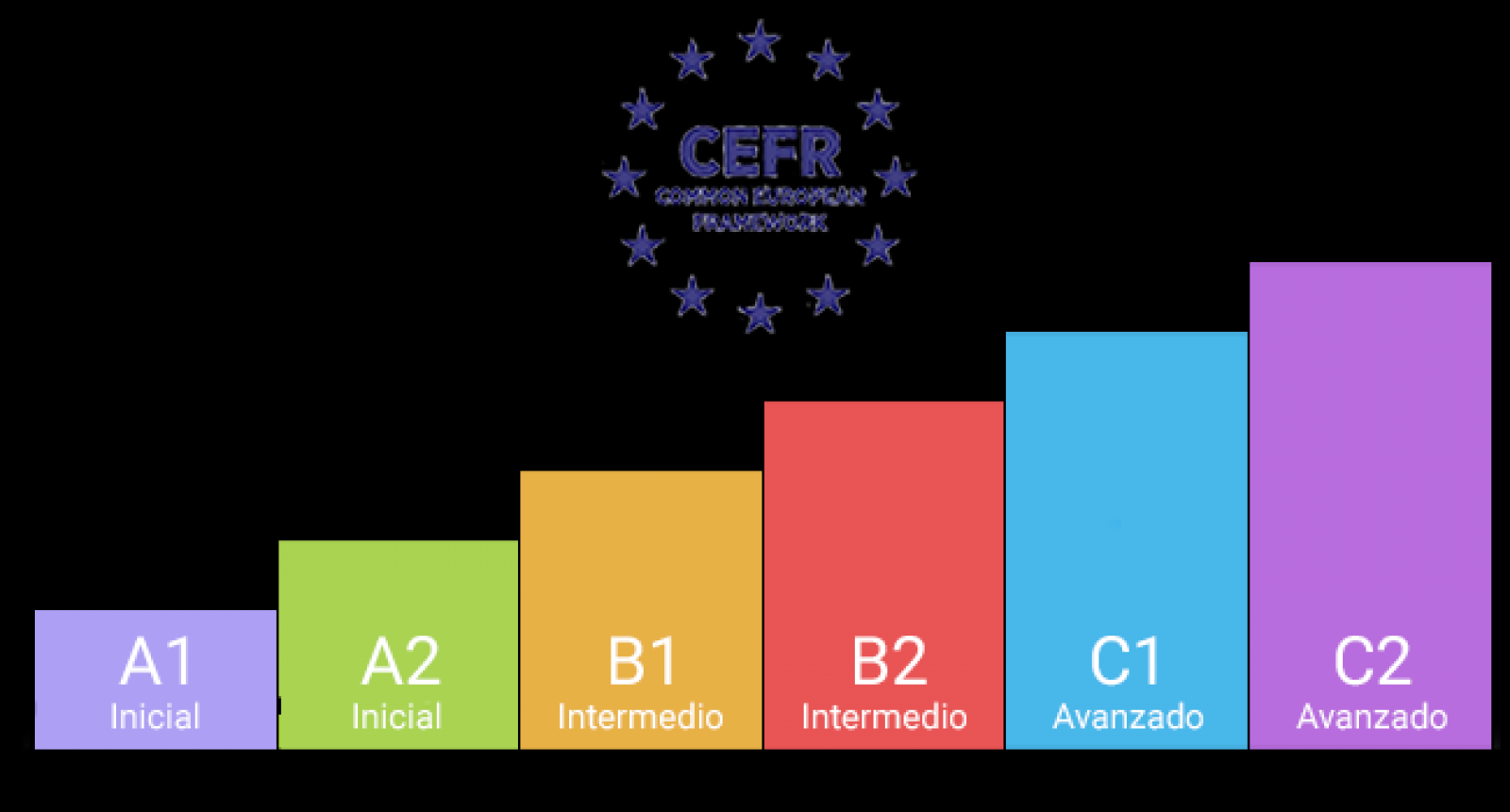 NUEVOS CURSOS INTENSIVOS JUNIO-JULIO 2024